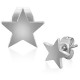Ohrstecker Stern aus  Edelstahl